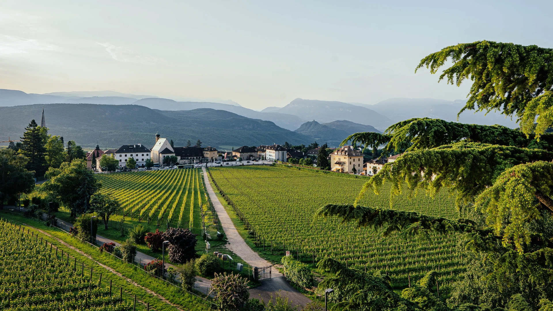 Blick auf Weinberge und Dorf vor Bergen bei klarem Himmel