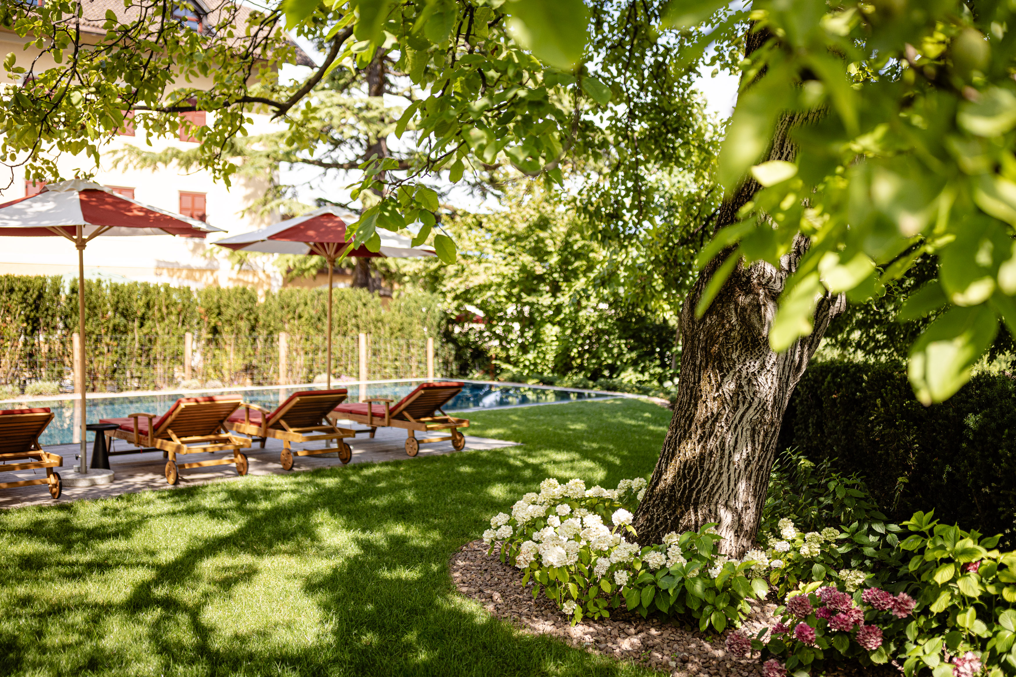 Garten mit Liegestühlen und Sonnenschirmen neben einem Pool